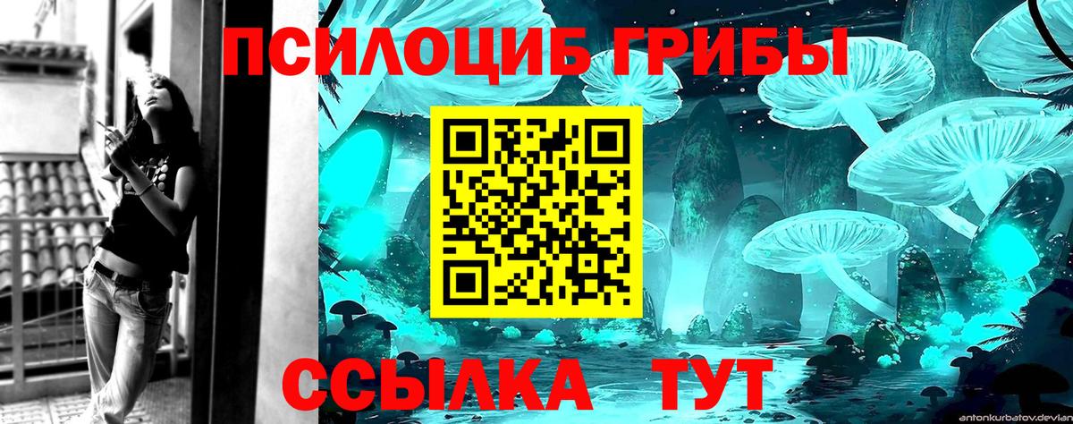 купить   Вход с VPN  Кириши  Псилоцибиновые грибы мухоморы  Галлюциногенные грибы прущие грибы 